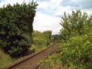 Vegetace tvarovna projdjcmi vlaky