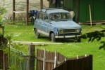 Jeden hezk Renault 4 u lesa