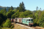 Boguszow Gorce : ST43-189 s nkladnm vlakem do Walbrzychu
