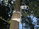 Stromov lampa v Klnovicch :-)