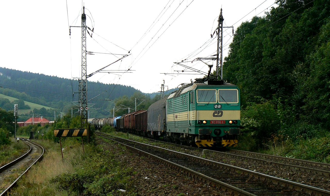 163.006, Vsetn (Odboka Beva), 8.9.2007, foto:Vojtch Gek