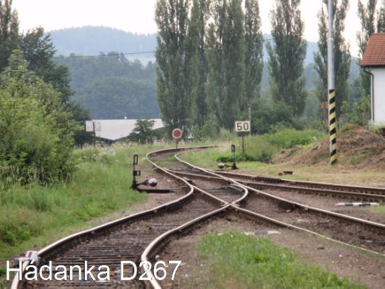 Hdanka D267
