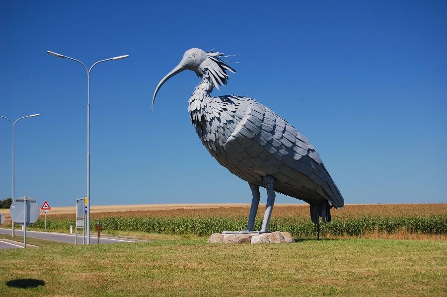 socha ibise (waldrap) na kruhi obchvatu :-) nkde maj kapry, nkde letadla, tady maj ptka :D