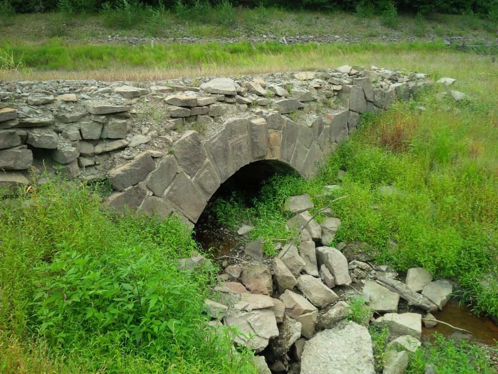 Zachoval most pes potok ervek