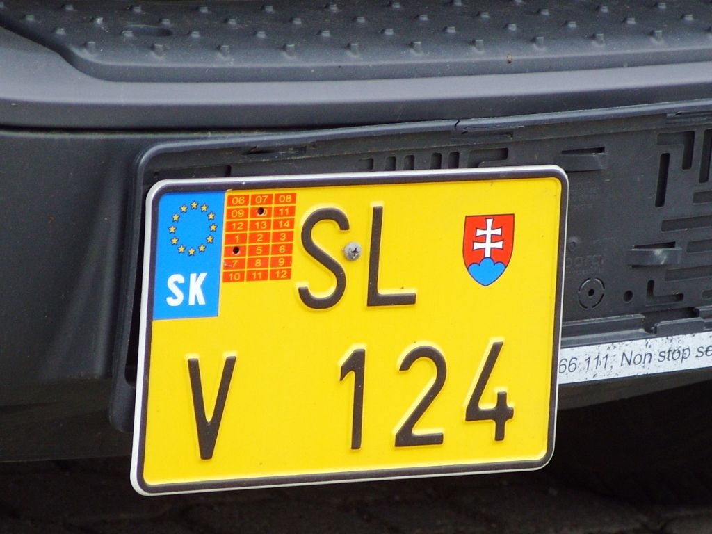 SL V 124 (2)
