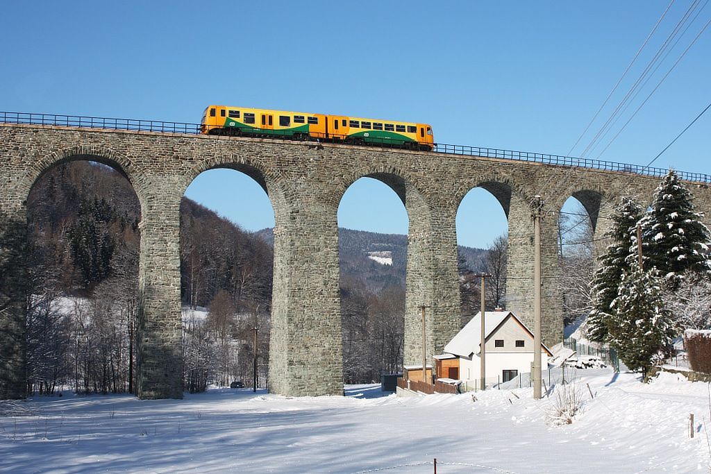 814.096+914.096, Novina viadukt, 29.1.2011