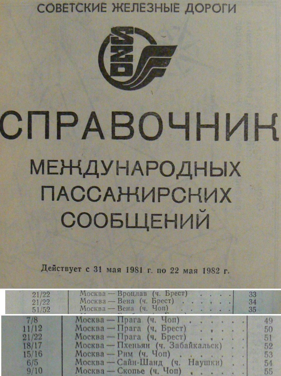 rok 1981-82